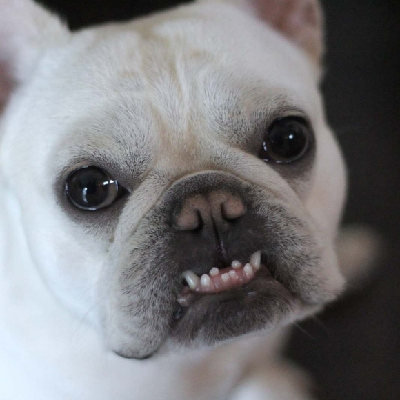 Meet your Posher, Beth - Picture 2 of 2